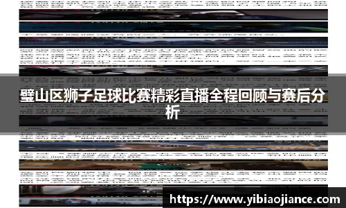 璧山区狮子足球比赛精彩直播全程回顾与赛后分析