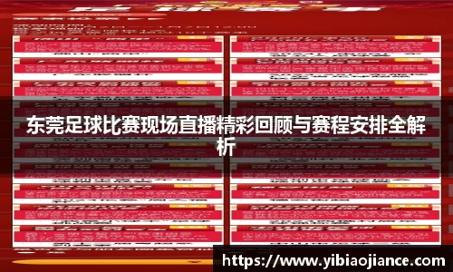 东莞足球比赛现场直播精彩回顾与赛程安排全解析